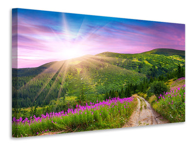 modern-3-piece-canvas-print-a-summer-landscape-at-sunrise