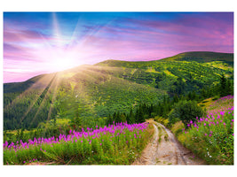 panoramic-3-piece-canvas-print-a-summer-landscape-at-sunrise