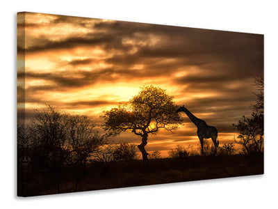 3-piece-canvas-print-african-dreams