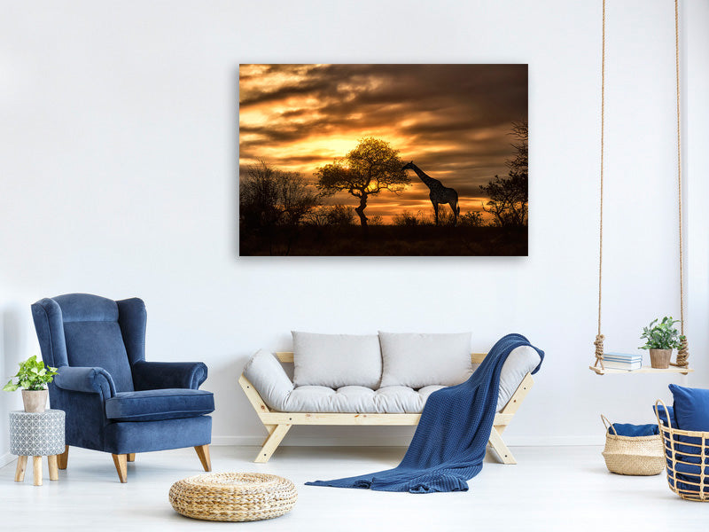 5-piece-canvas-print-african-dreams