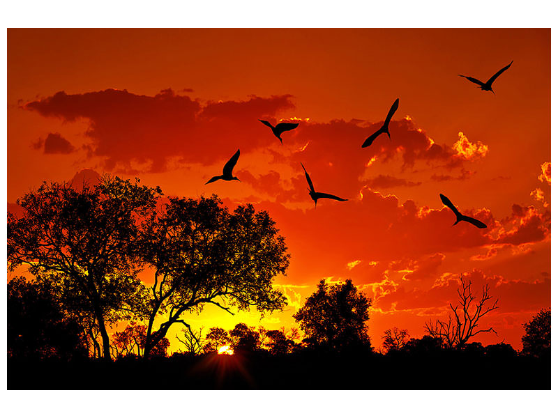 5-piece-canvas-print-african-feeling