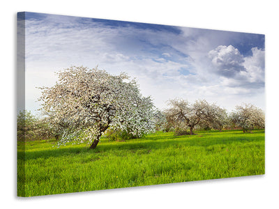 3-piece-canvas-print-apple-tree-garden