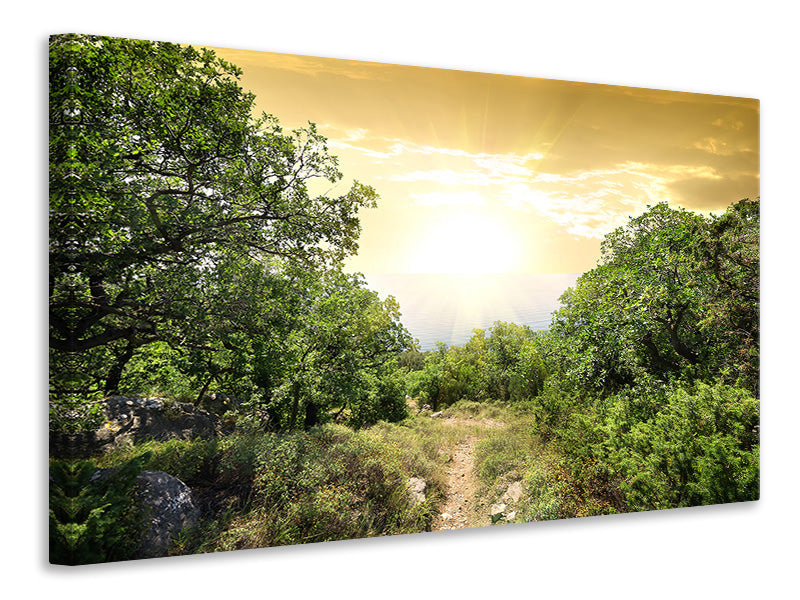 5-piece-canvas-print-at-the-end-of-the-forest