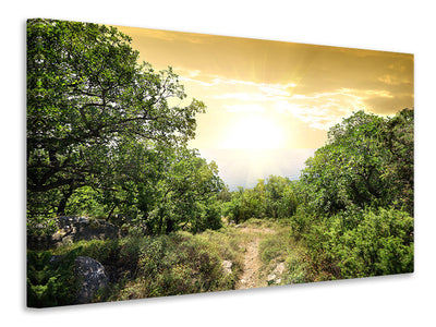 4-piece-canvas-print-at-the-end-of-the-forest