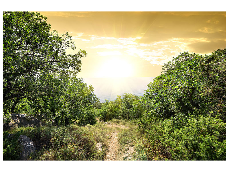 4-piece-canvas-print-at-the-end-of-the-forest