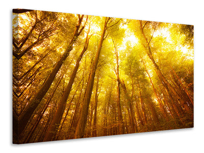 4-piece-canvas-print-autumn-forest