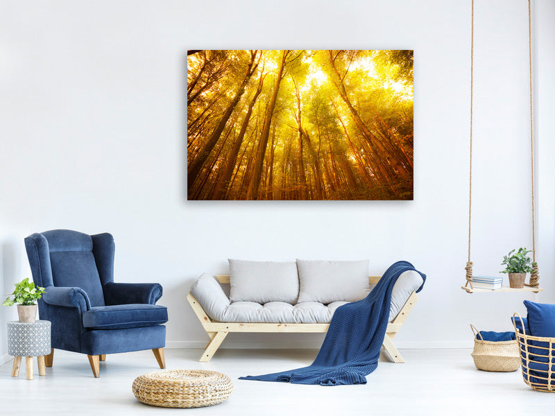 4-piece-canvas-print-autumn-forest