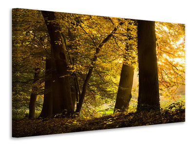 3-piece-canvas-print-autumn-leaves