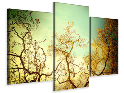 5-piece-canvas-print-autumn-trees-ii