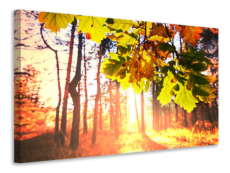 panoramic-3-piece-canvas-print-autumn