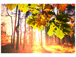 5-piece-canvas-print-autumn