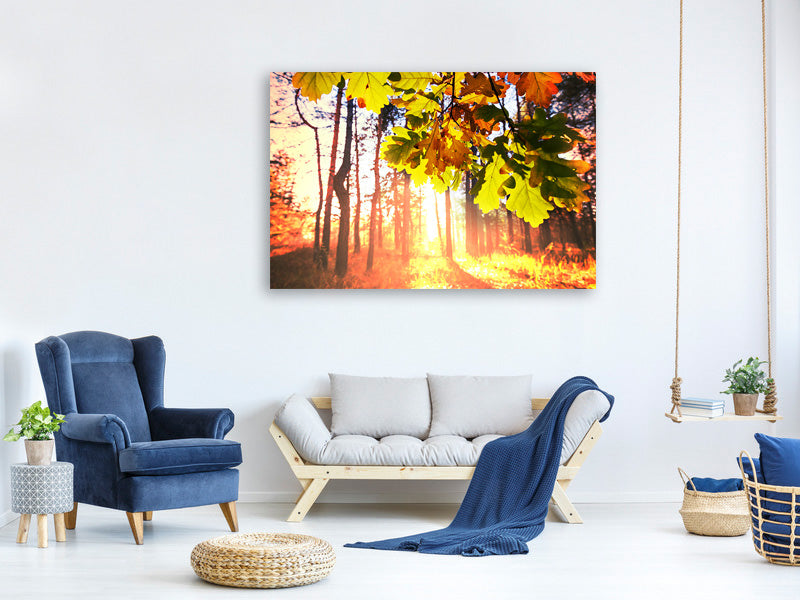 panoramic-3-piece-canvas-print-autumn