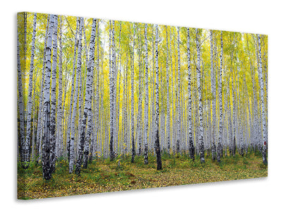 3-piece-canvas-print-autumnal-birch-forest