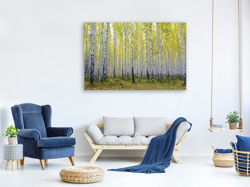 modern-3-piece-canvas-print-autumnal-birch-forest