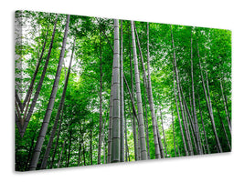 4-piece-canvas-print-bamboo-forest