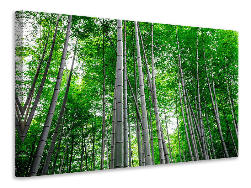 4-piece-canvas-print-bamboo-forest