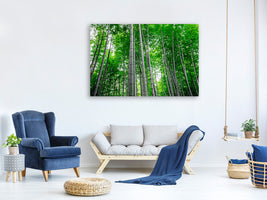 5-piece-canvas-print-bamboo-forest
