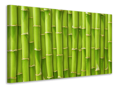 modern-3-piece-canvas-print-bamboo-wall