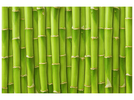 modern-4-piece-canvas-print-bamboo-wall
