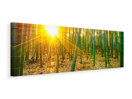panoramic-3-piece-canvas-print-bamboos