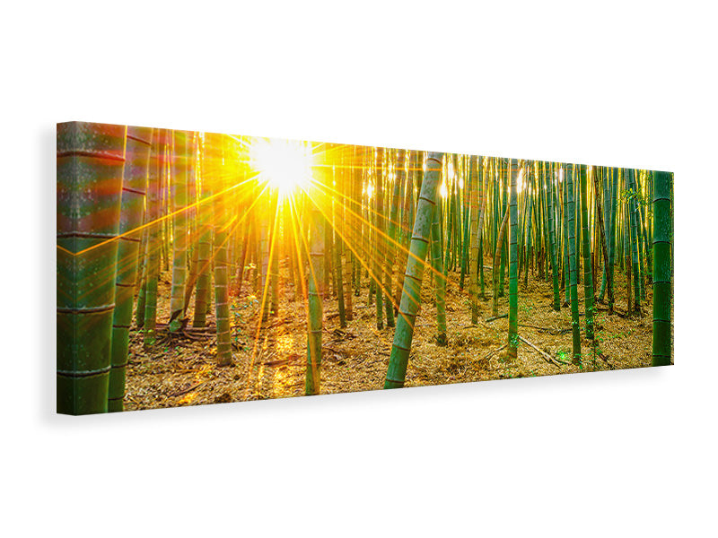 5-piece-canvas-print-bamboos