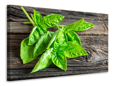 3-piece-canvas-print-basil-leaves-ii