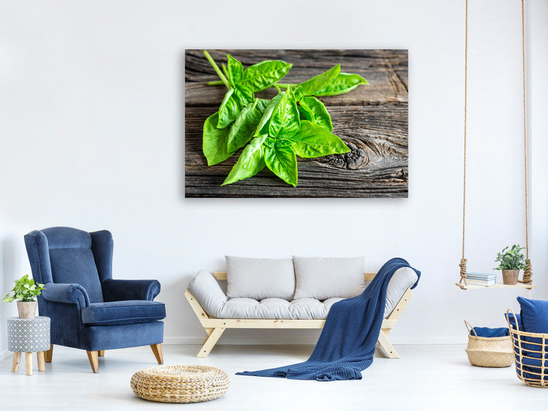 3-piece-canvas-print-basil-leaves-ii