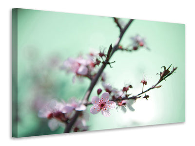 5-piece-canvas-print-beautiful-japanese-cherry-blossom