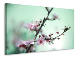 modern-4-piece-canvas-print-beautiful-japanese-cherry-blossom