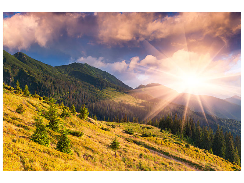 4-piece-canvas-print-beginning-of-autumn