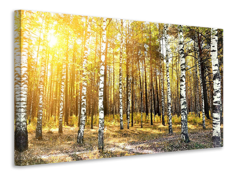 4-piece-canvas-print-birch-forest