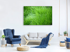 5-piece-canvas-print-blades-of-grass