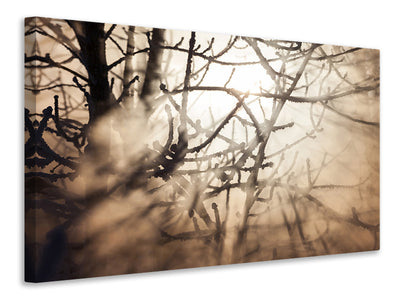 modern-3-piece-canvas-print-branches-in-fog-light