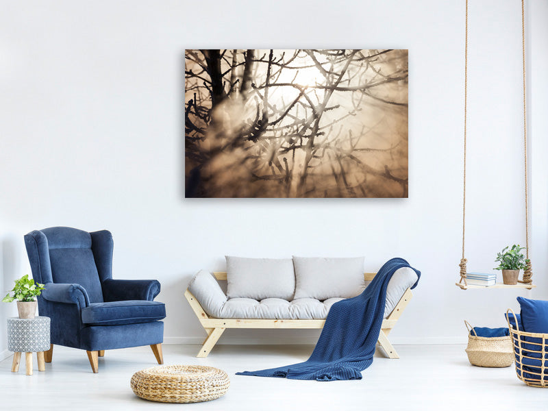 panoramic-canvas-print-branches-in-fog-light