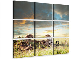 4-piece-canvas-print-cheetahs