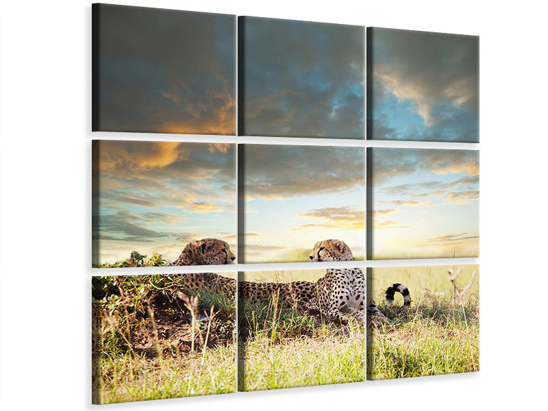 4-piece-canvas-print-cheetahs