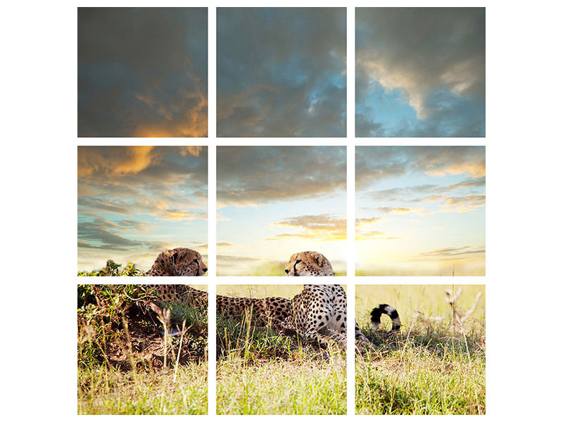 4-piece-canvas-print-cheetahs