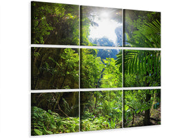 canvas-print-clearing-in-the-jungle