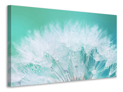 3-piece-canvas-print-close-up-dandelion-in-morning-dew