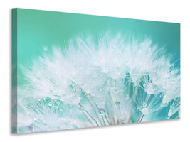 modern-4-piece-canvas-print-close-up-dandelion-in-morning-dew