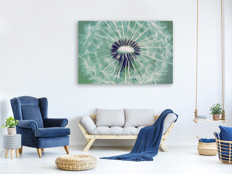 panoramic-3-piece-canvas-print-close-up-dandelion