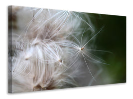 modern-4-piece-canvas-print-close-up-flowers-fibers