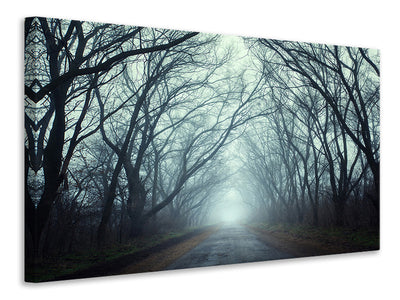 panoramic-3-piece-canvas-print-cloud-forest