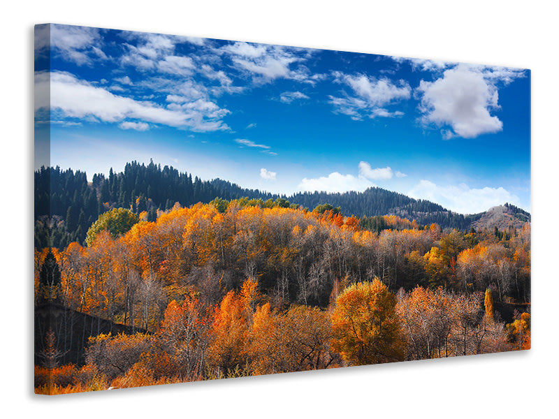 panoramic-3-piece-canvas-print-clouds-gather