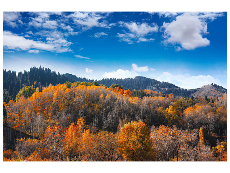panoramic-canvas-print-clouds-gather