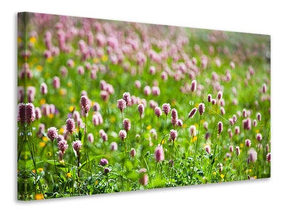 4-piece-canvas-print-clover