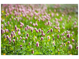 panoramic-3-piece-canvas-print-clover