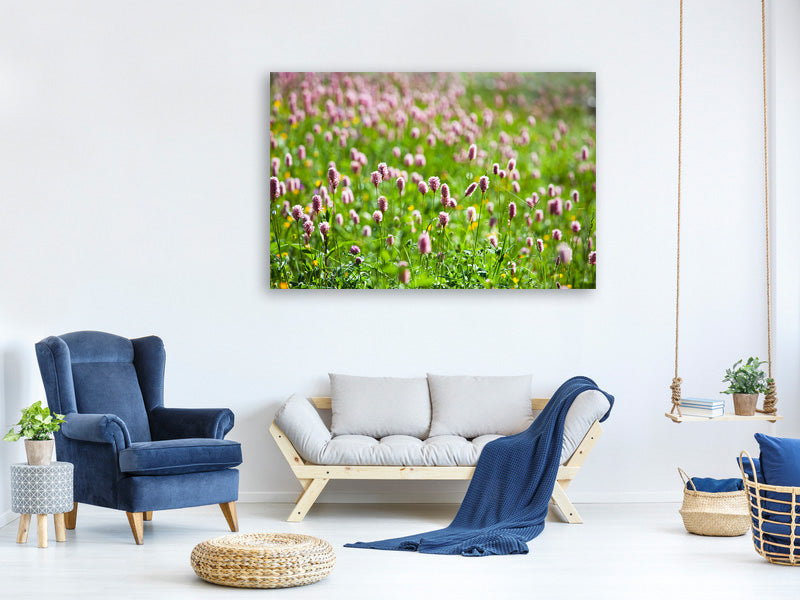 4-piece-canvas-print-clover
