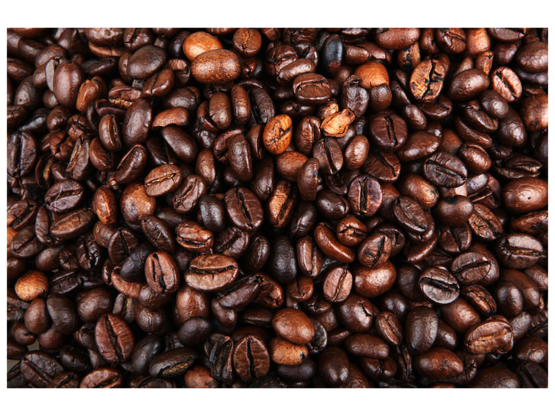 modern-4-piece-canvas-print-coffee-beans-in-xxl