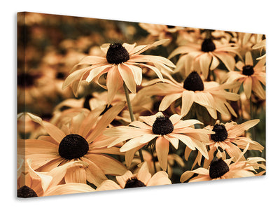 modern-3-piece-canvas-print-daisies-in-sepia